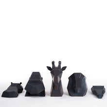 Project Safari | Collection in Charcoal