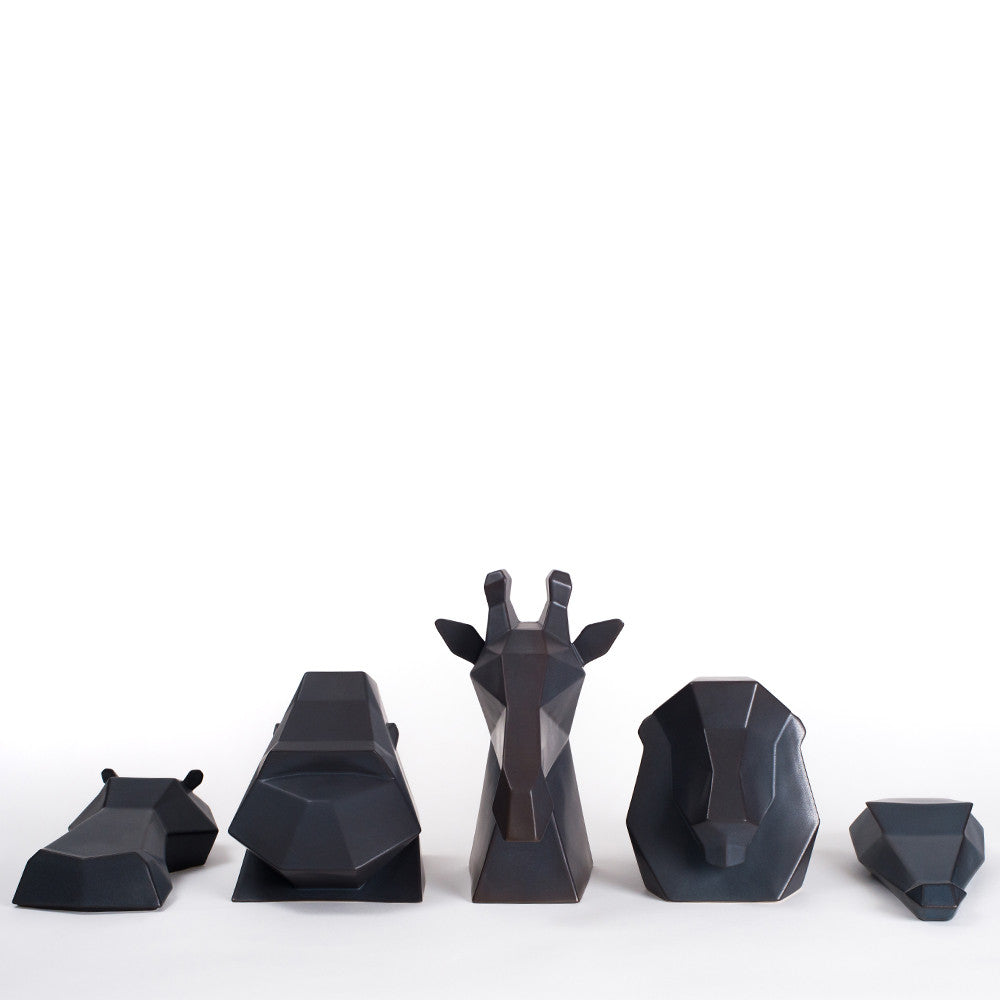 Project Safari | Collection in Charcoal