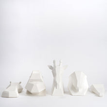 Project Safari | Collection in White