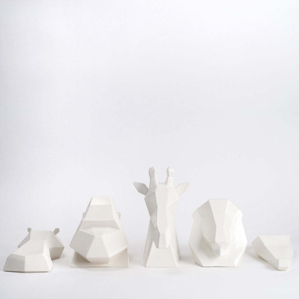 Project Safari | Collection in White