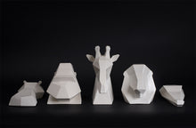 Project Safari | Collection in White