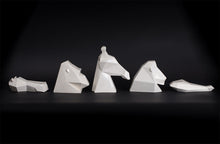 Project Safari | Collection in White