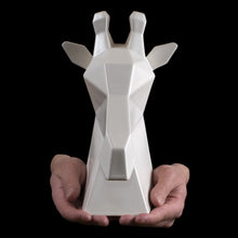 Project Safari | Gerard the Giraffe in White