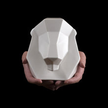 Project Safari | Lewis the Lion in White